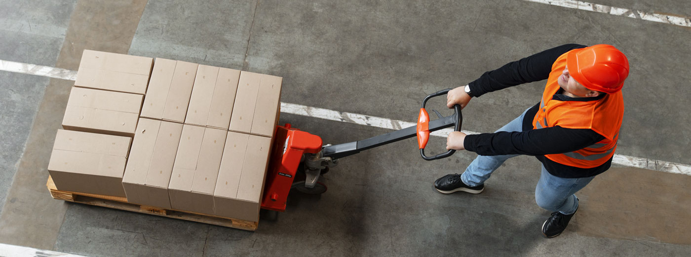 Adin Logistic